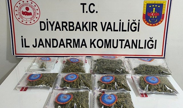 Diyarbakır'da 25 kilo esrar ele geçirildi