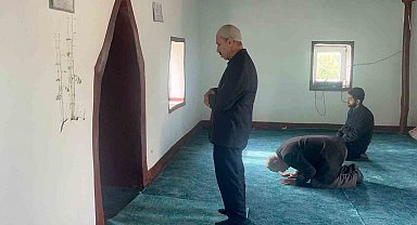 Diyarbakır'da bir caminin mihrap kısmındaki duvardan çıkan bitkinin yaprakları yeşerdi