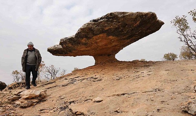 Diyarbakır'da buzul çağ kalıntısı: Tam 6 milyon yıl önceye ait