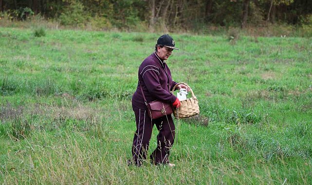 Doğaseverler Ormanya'nın zengin biyolojik çeşitliliğini keşfetti