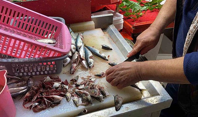 Doğru bilinen yanlışı uzmanı açıkladı: "Gözüne bakıp tazeliğini anlarım diyen yalan söyler"