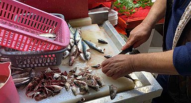 Doğru bilinen yanlışı uzmanı açıkladı: "Gözüne bakıp tazeliğini anlarım diyen yalan söyler"