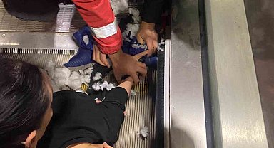 Doğum günü sevinci kabusa dönüştü