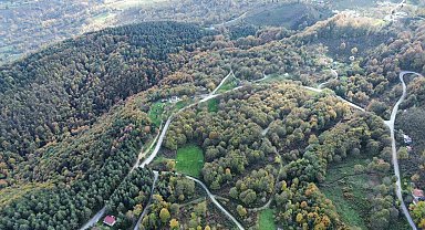 Düzce ormanlarında "renk cümbüşü" yaşanıyor