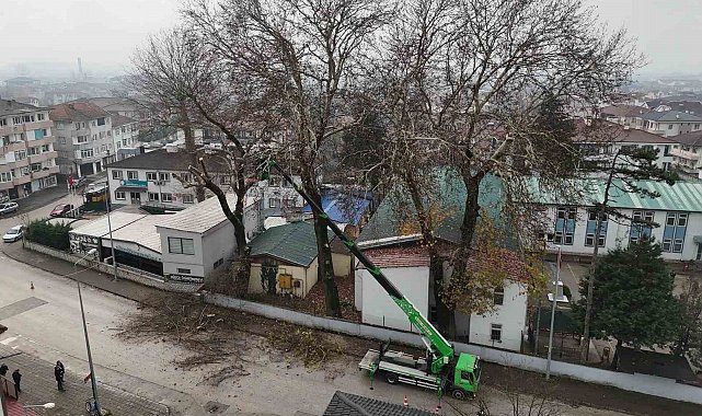 Düzce'de ağaçlara kış bakımı