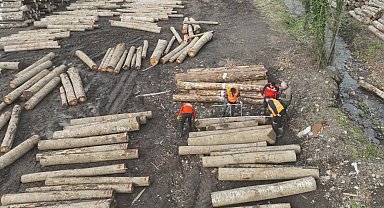 Düzce'den 22 bin 310,95 ton orman ürünü ihraç edildi