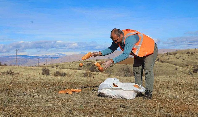 Elaızığ'da doğaya yem bırakıldı