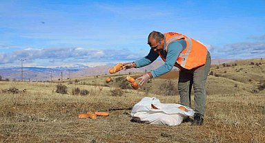 Elaızığ'da doğaya yem bırakıldı