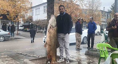 Elazığ'da 60 kiloluk turna balığı yakalandı