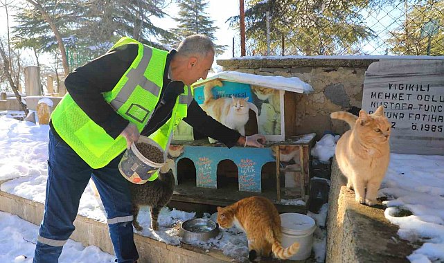 Elazığ'da doğaya yem bırakıldı