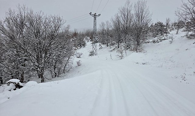 Elazığ'da kar başladı, 311 köy yolu ulaşıma kapandı