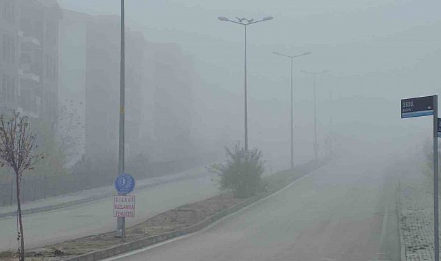 Elazığ'da yoğun sis, bir mahalle adeta kayboldu