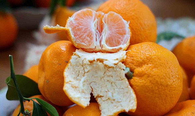 En ucuz meyve mandalina: Dalında 3, pazarda 5 lira