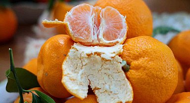 En ucuz meyve mandalina: Dalında 3, pazarda 5 lira