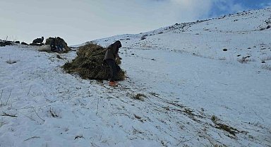 Erciş'te asırlık kış mesaisi: Otlar kızaklarla köye taşınıyor