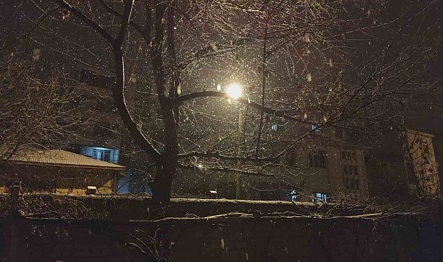 Erciş'te kar yağışı
