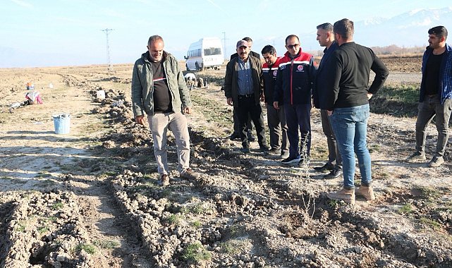 Erzincan'da 111 bin tuz çalısı toprakla buluşturuldu