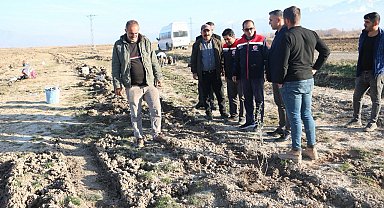 Erzincan'da 111 bin tuz çalısı toprakla buluşturuldu