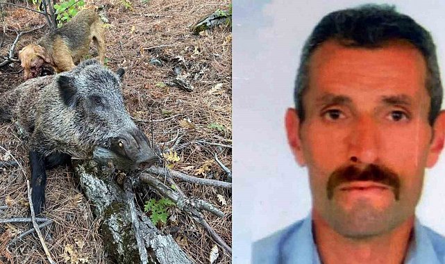Erzincan'da domuzun saldırısına uğrayan avcı öldü