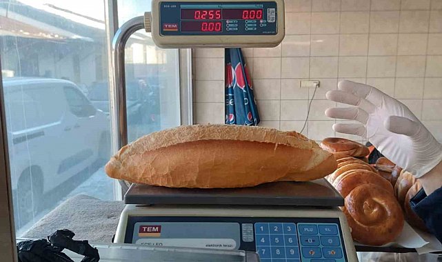 Erzincan'da fırın ve unlu mamul işletmelerine denetim