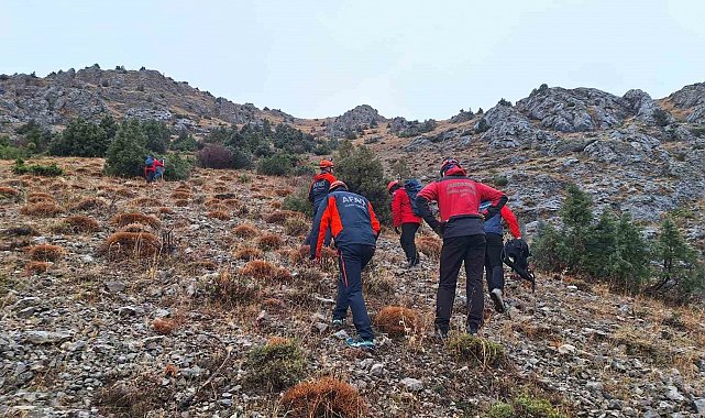 Erzincan'da kayalıklarda mahsur kalan 11 keçi 3 saatlik operasyonla kurtarıldı