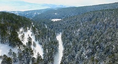 Erzincan'ın doğa harikası Dumanlı beyaza büründü