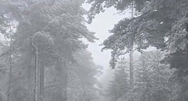 Eskişehir'e mevsimin ilk karı yağdı