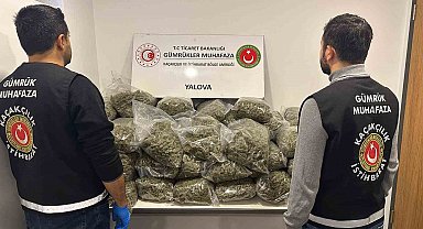 Fransa'dan Yalova'ya gemiyle gelen tırda 37 kilo uyuşturucu ele geçirildi