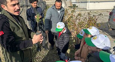 Gediz'de minik öğrenciler kızılçam fidanlarını toprakla buluşturdu