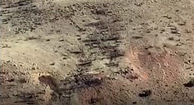 Gercüşlü çiftçilerin domuz tedirginliği