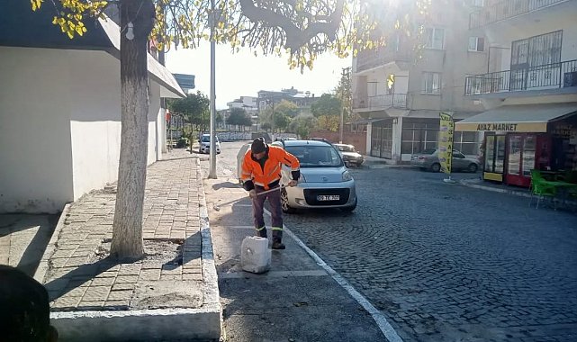 Germencik'te kireçleme ve ağaç budama çalışması