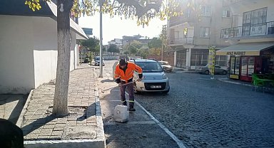 Germencik'te kireçleme ve ağaç budama çalışması