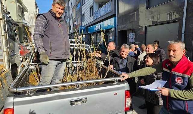 Germencik'te üreticiye 4 bin sertifikalı fidan desteği