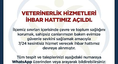 Germencik'te Veterinerlik Hizmetleri İhbar Hattı hizmete açıldı