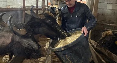 Giresun'da 286 manda işletmesine 12,3 milyon TL destek