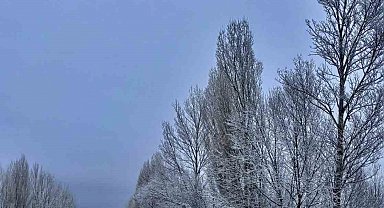 Gökçedere'de kar yağışı sonrası ağaçlar beyaz örtüyle kaplandı