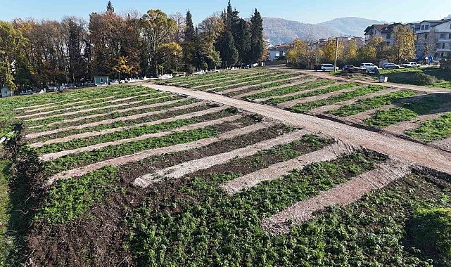 Gölcük'e yeni mezarlık alanları hazırlandı