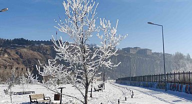 Göle eksi 16 dereceyi gördü, ağaçlar kırağı tuttu