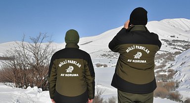 Hakkâri'de yasa dışı avcılığa ağır ceza