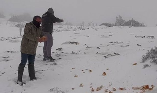 Halkapınar'da kar yağışı etkili oluyor