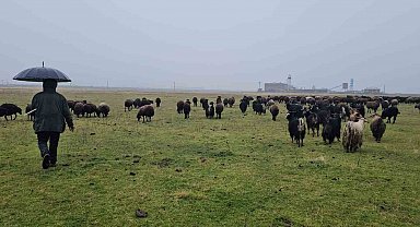 Hasköy'de sıcaklığın mevsim normalleri üzerinde olması besicileri sevindirdi