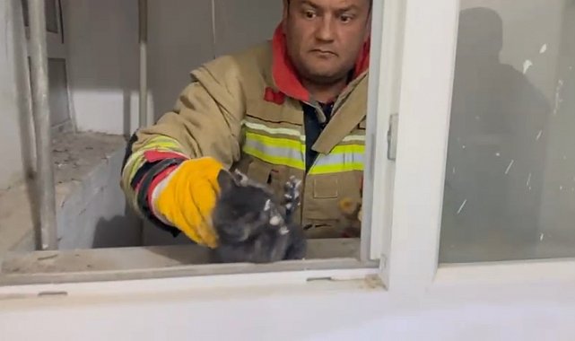 Hatay'da havalandırma boşluğuna düşen yavru kedi kurtarıldı