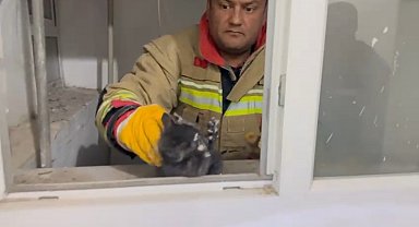 Hatay'da havalandırma boşluğuna düşen yavru kedi kurtarıldı