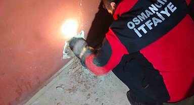 Havalandırma boşluğuna düşen kediyi itfaiye kurtardı