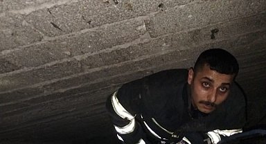 Havalandırma boşluğuna düşen yavru kediyi itfaiye kurtardı