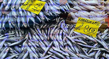 Havaların soğumasıyla balık tezgahlarında alışverişler hızlandı