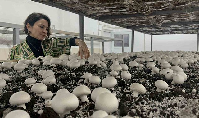 Hem eğitim görüp hem üretiyorlar