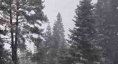 Ilgaz Dağı'nda kar yağışı etkili olmaya başladı