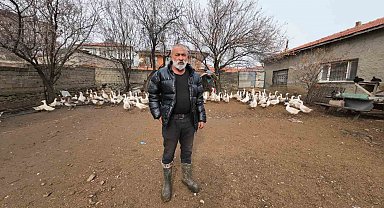 İstanbul'dan memleketi Yozgat'a döndü, binlerce hayvan üreterek geçimini sağlıyor