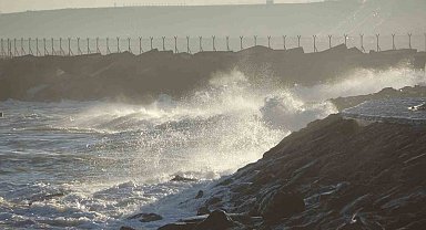 İstavrit hamsiyi tahtından etti